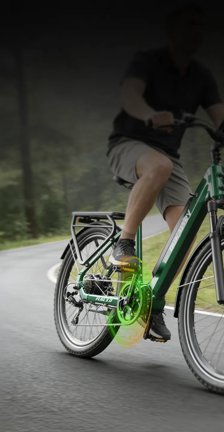 Cadence & Torque Sensing Assist