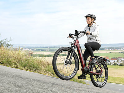 Dukawey FUGL3.0 City Ebike