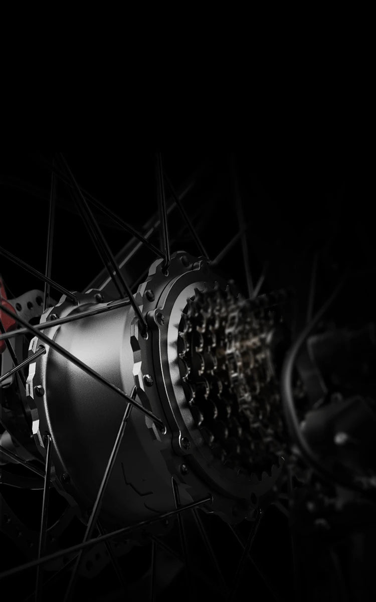Dual 1000W Motors